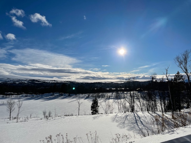 Vacker utsikt över Rödfjället från altanen