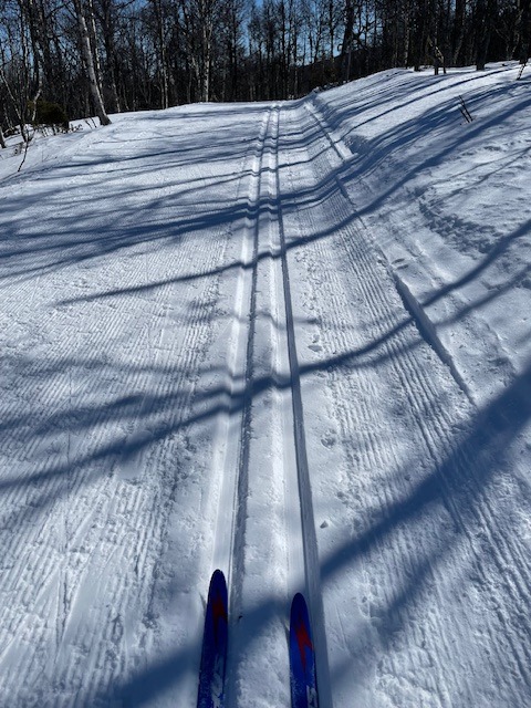 Härlig skidåkning i Nordic Ski Centers välpreparerade längdspår